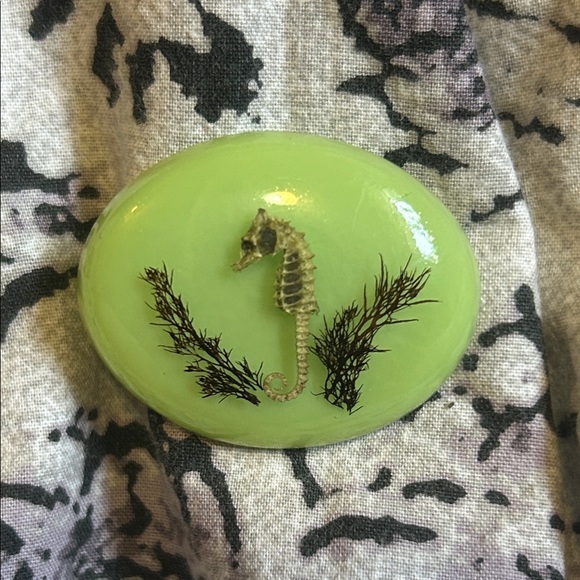 Jewelry - Real Seahorse Vintage Brooch taxidermy